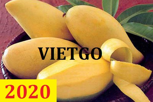 MS - Cơ hội giao thương – Đơn hàng Cả Năm - Cơ hội xuất khẩu quả Xoài sang thị trường Nga.