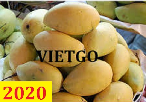 Cơ hội giao thương - Đơn hàng thường xuyên - Cơ hội xuất khẩu Xoài sang thị trường Ai Cập.