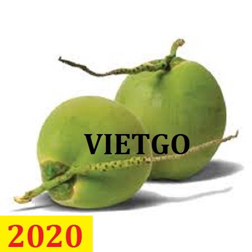 Cơ hội giao thương - Đơn hàng thường xuyên - Cơ hội xuất khẩu Quả Dừa sang thị trường Ai Cập.