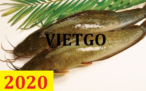 Cơ hội giao thương – Đơn hàng Cả Năm – Cơ hội xuất khẩu Cá Trê sang thị trường Li-Băng.