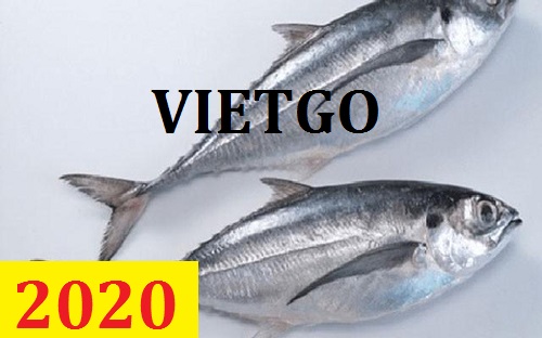 Cơ hội giao thương – Đơn hàng Cả Năm – Cơ hội xuất khẩu Cá Sòng Gió sang thị trường Li-Băng.