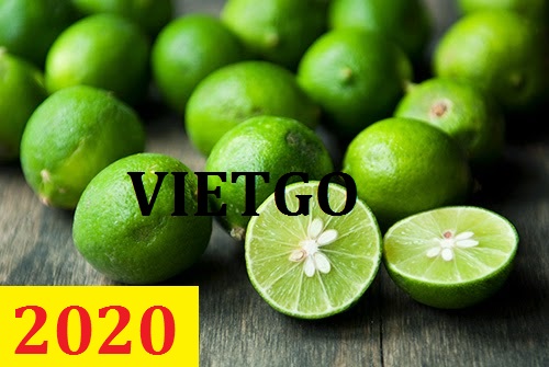 Cơ hội giao thương – Đơn hàng Cả Năm - Cơ hội xuất khẩu Chanh Xanh sang thị trường Dubai