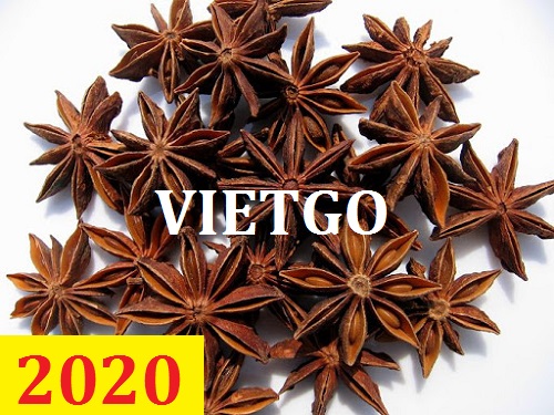 Cơ hội giao thương – Đơn hàng Cả Năm - Cơ hội xuất khẩu Hoa Hồi sang thị trường Ấn Độ