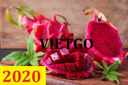 (MS) Cơ hội giao thương – Đơn hàng Cả Năm - Cơ hội xuất khẩu Thanh Long sang thị trường Ấn Độ