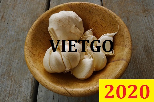 Cơ hội giao thương Đặc Biệt – Đơn hàng Cả Năm - Cơ hội xuất khẩu Tỏi Trắng sang thị trường Bangladesh