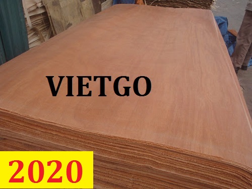 Cơ Hội Giao Thương - Đơn Hàng Thường Xuyên – Cơ Hội Xuất Khẩu VÁN BÓC Gỗ Dầu Sang Thị Trường Myanmar