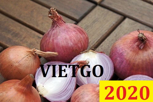 Cơ hội giao thương Đặc Biệt – Đơn hàng Cả Năm - Cơ hội xuất khẩu Hành Tây sang thị trường Bangladesh