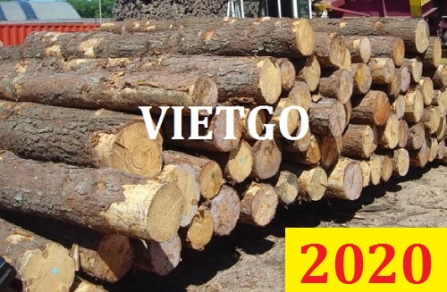 Cơ Hội Giao Thương Đặc Biệt - Đơn Hàng Thường Xuyên – Cơ Hội Xuất Khẩu Gỗ Thông Tròn Sang Thị Trường Sri Lanka.