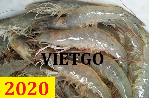 Cơ hội giao thương – Đơn hàng Cả Năm – Cơ hội xuất khẩu Tôm Thẻ Chân Trắng sang thị trường Mỹ