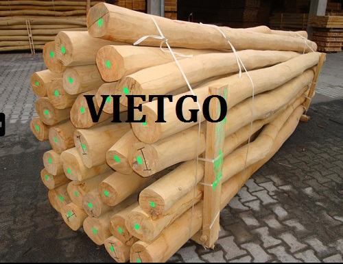 Cơ Hội Giao Thương – Cơ Hội Xuất Khẩu Gỗ Tràm Tròn Sang Thị Trường Thổ Nhĩ Kỳ.