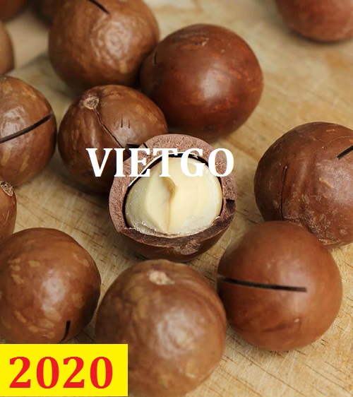 (MS) Cơ hội giao thương – Đơn hàng Cả Năm - Cơ hội xuất khẩu Hạt Macca sang thị trường Israel