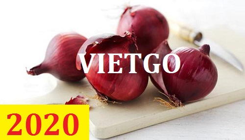 Cơ hội giao thương – Đơn hàng Cả Năm - Cơ hội xuất khẩu Hành Tây sang thị trường Israel