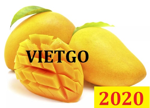 (MS) Cơ hội giao thương Đặc Biệt – Đơn hàng Cả Năm - Cơ hội xuất khẩu Quả Xoài sang thị trường Maldives