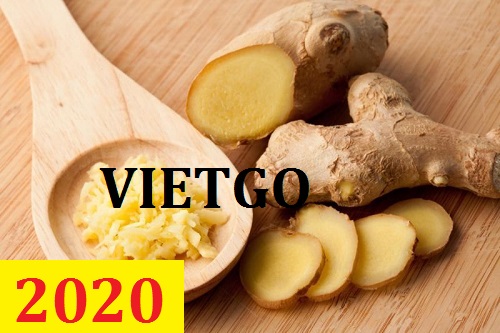 Cơ hội giao thương – Đơn hàng Cả Năm - Cơ hội xuất khẩu Gừng Tươi sang thị trường Thổ Nhĩ Kỳ