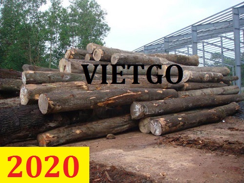 Cơ hội giao thương – Đơn hàng thường xuyên - Cơ hội xuất khẩu Gỗ dầu tròn sang Bangladesh