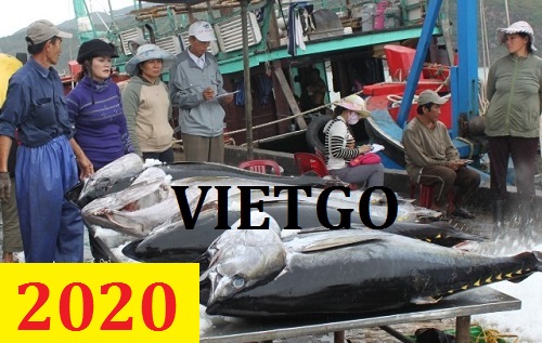 Cơ hội giao thương – Đơn hàng Cả Năm - Cơ hội xuất khẩu Cá Ngừ sang thị trường Mauritius