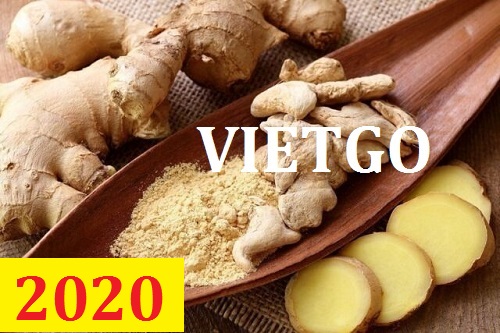 Cơ hội giao thương – Đơn hàng Cả Năm - Cơ hội xuất khẩu Gừng Khô sang thị trường Thổ Nhĩ Kỳ