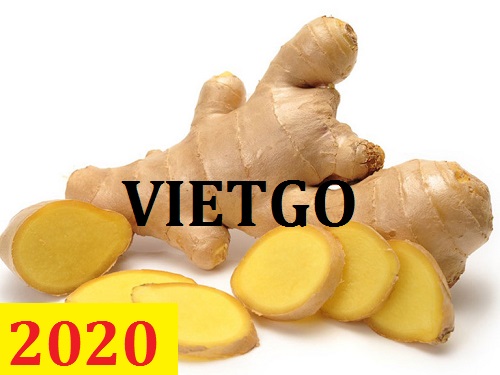 Cơ hội giao thương – Đơn hàng Cả Năm - Cơ hội xuất khẩu Gừng Tươi sang thị trường Armenia