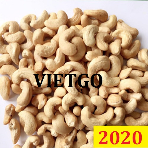 Cơ hội giao thương Đặc Biệt – Đơn hàng Cả Năm - Cơ hội xuất khẩu Hạt Điều sang thị trường Sri Lanka