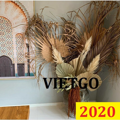 Cơ hội giao thương Đặc Biệt Cả Năm – Cơ hội xuất khẩu  Lá chuối, Lá cọ sang thị trường Hàn Quốc