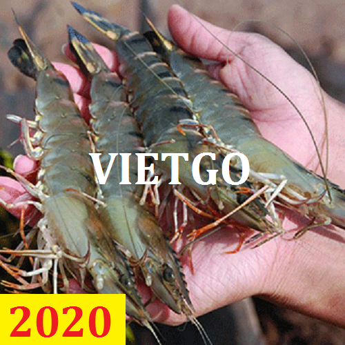 Cơ hội giao thương – Đơn hàng Cả Năm - Cơ hội xuất khẩu Tôm Sú và Tôm Thẻ Chân Trắng sang thị trường Trung Quốc
