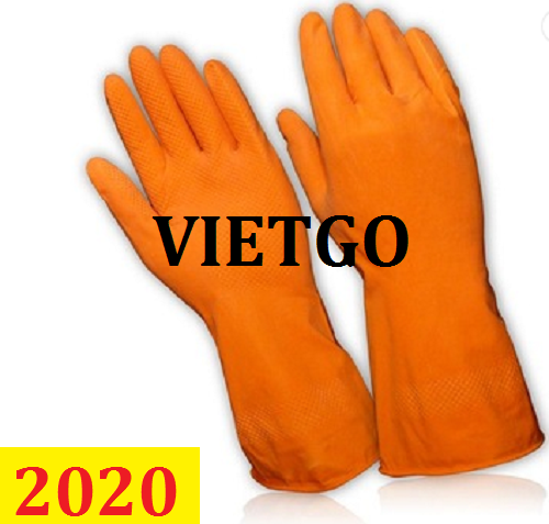 Cơ hội giao thương -  Đơn hàng thường xuyên - Cơ hội xuất khẩu sản phẩm găng tay từ UAE.