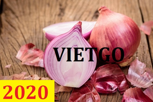 Cơ hội giao thương – Đơn hàng Cả Năm - Cơ hội xuất khẩu Hành Tây sang thị trường Kuwait