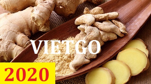 Cơ hội giao thương – Đơn hàng thường xuyên – Cơ hội xuất khẩu bột gừng sang thị trường Mỹ.