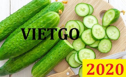 (MS) Cơ hội giao thương Đặc Biệt – Đơn hàng Cả Năm - Cơ hội xuất khẩu Dưa Leo sang thị trường Maldives