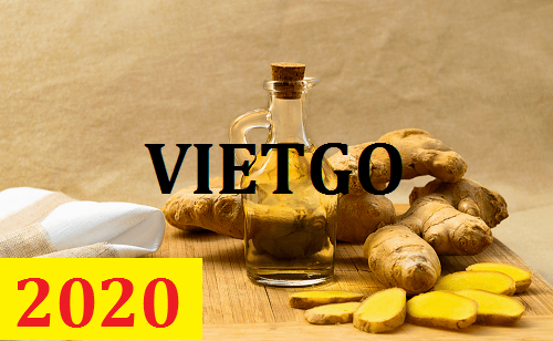Cơ hội giao thương – Đơn hàng Cả Năm - Cơ hội xuất khẩu Gừng Tươi sang thị trường Mauritius