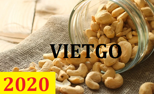 Cơ hội giao thương – Đơn hàng Cả Năm - Cơ hội xuất khẩu Hạt Điều sang thị trường Nga