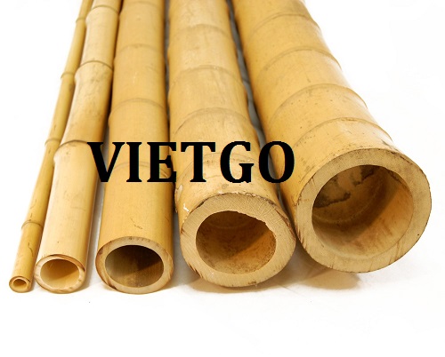 Cơ hội giao thương – Cơ hội xuất khẩu sản phẩm Gậy tre sang thị trường Tây Ban Nha