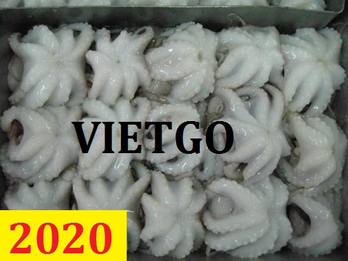 Cơ hội giao thương – Đơn hàng Cả Năm – Cơ hội xuất khẩu 300 tấn  Bạch tuộc mỗi tháng sang thị trường Trung Quốc