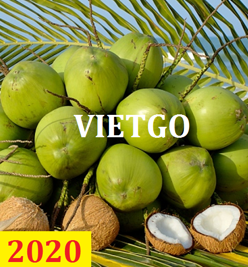 Cơ hội giao thương – Đơn hàng Cả Năm - Cơ hội xuất khẩu Quả Dừa sang thị trường Ba Lan