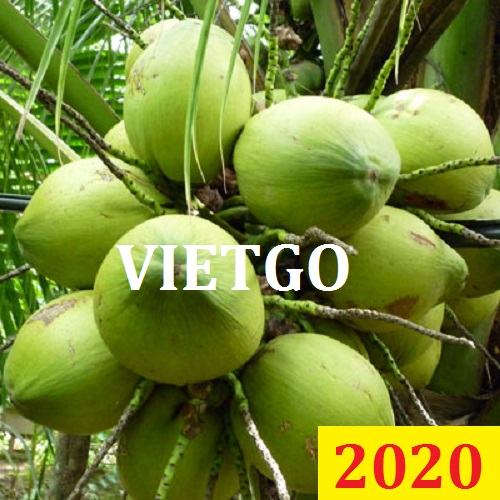 Cơ hội giao thương - Đơn hàng đặc biệt thường xuyên - Cơ hội xuất khẩu Quả Dừa sang thị trường Dubai.