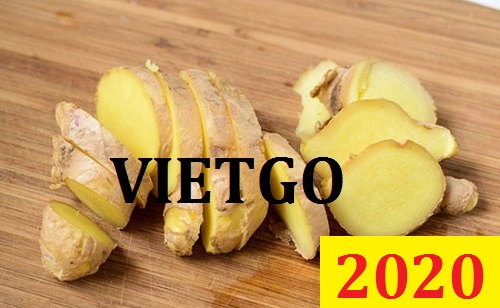 Cơ hội giao thương - Đơn hàng đặc biệt thường xuyên - Cơ hội xuất khẩu Gừng Tươi sang thị trường Dubai.