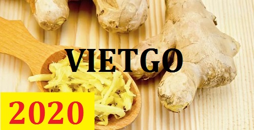 Cơ  hội giao thương – Đơn hàng thường xuyên - Cơ hội xuất khẩu Gừng tươi đến thị trường Ai Cập