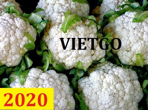 Cơ hội giao thương – Đơn hàng thường xuyên – Cơ hội xuất khẩu Súp lơ trắng sang thị trường Ấn Độ.