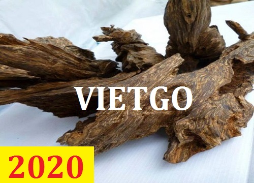 Cơ hội giao thương – Đơn hàng cả năm -  Cơ hội xuất khẩu trầm hương sang thị trường Ả Rập Xê Út