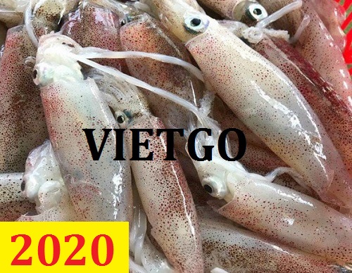 Cơ hội giao thương – Đơn hàng Cả Năm – Cơ hội xuất khẩu Mực sang thị trường Trung Quốc
