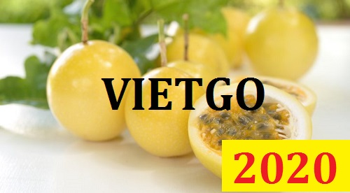 Cơ hội giao thương Đặc Biệt – Đơn hàng Cả Năm - Cơ hội xuất khẩu Chanh Leo sang thị trường Maldives