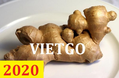 Cơ hội giao thương – Đơn hàng thường xuyên - Cơ hội xuất khẩu gừng tươi đến thị trường Bangladesh.