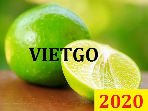 Cơ hội giao thương Đặc Biệt – Đơn hàng Cả Năm - Cơ hội xuất khẩu Quả Chanh Xanh sang thị trường Maldives