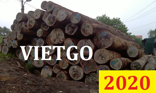 Cơ hội giao thương đặc biệt – Đơn hàng thường xuyên - Cơ hội xuất khẩu Gỗ dầu tròn sang Ấn Độ