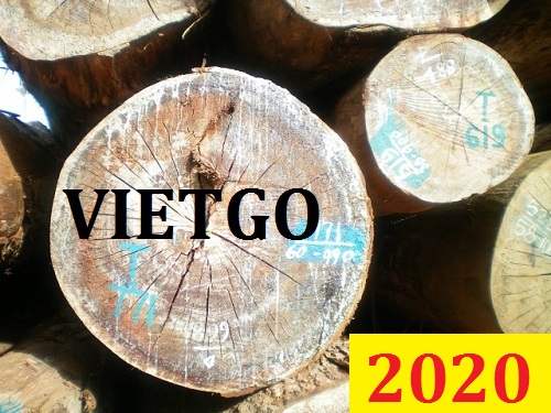 Cơ Hội Giao Thương Đặc Biệt - Đơn Hàng Thường Xuyên – Cơ Hội Xuất Khẩu Gỗ Dầu Tròn Sang Thị Trường Bangladesh.