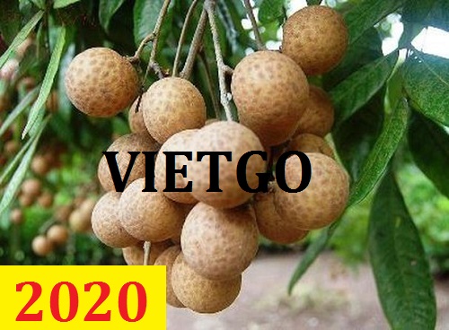 Cơ hội giao thương – Đơn hàng Cả Năm - Cơ hội xuất khẩu Quả Nhãn sang thị trường Ả Rập