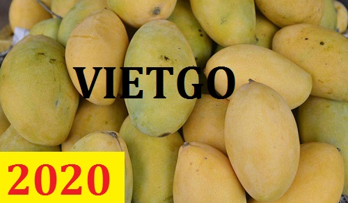 Cơ hội giao thương – Đơn hàng Cả Năm - Cơ hội xuất khẩu Xoài Việt Nam sang thị trường Ả Rập