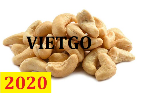 ( Gấp ) Cơ hội giao thương – Đơn hàng Cả Năm - Cơ hội xuất khẩu Hạt Điều sang thị trường Ấn Độ