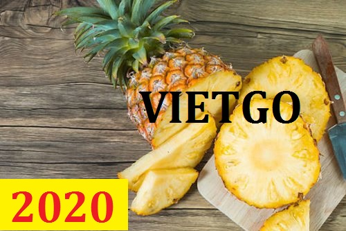 Cơ hội giao thương – Đơn hàng Cả Năm - Cơ hội xuất khẩu Quả Dứa sang thị trường Ả Rập
