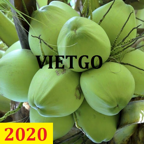 Cơ hội giao thương – Đơn hàng Cả Năm - Cơ hội xuất khẩu Quả Dừa sang thị trường Ả Rập.